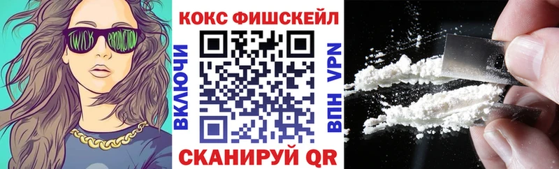 Купить где  Багратионовск  COCAIN VHQ 