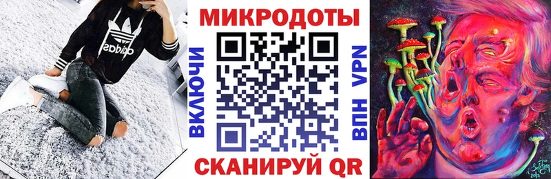 Купить  Багратионовск  Псилоцибиновые грибы Psilocybine cubensis 